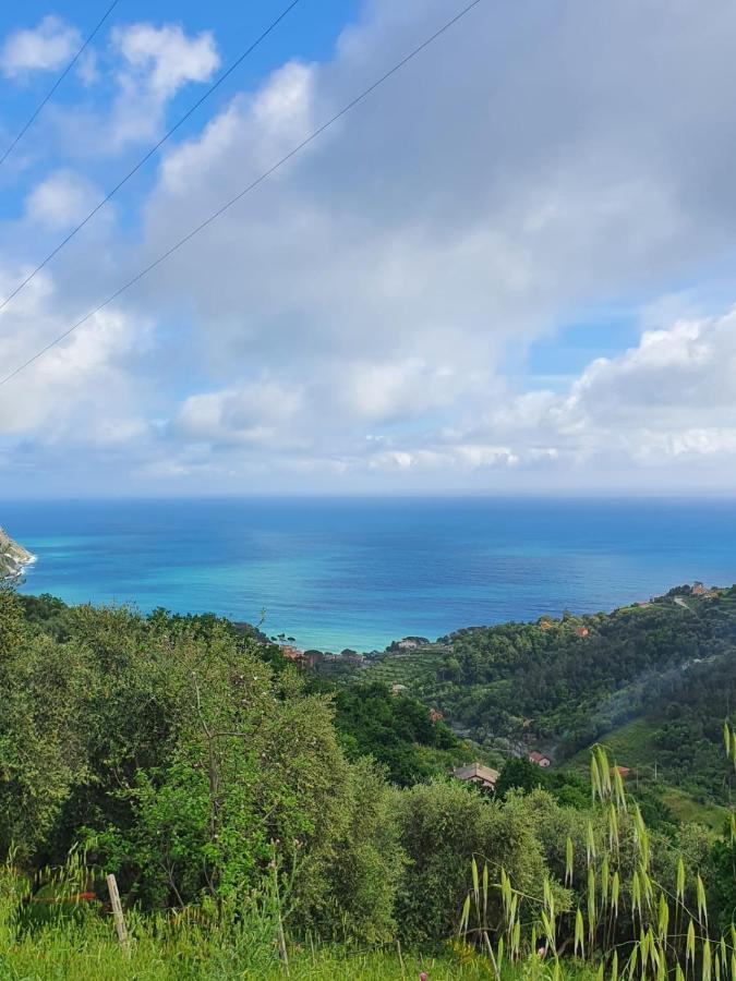 Cà Zelinda House Holiday Moneglia Dış mekan fotoğraf