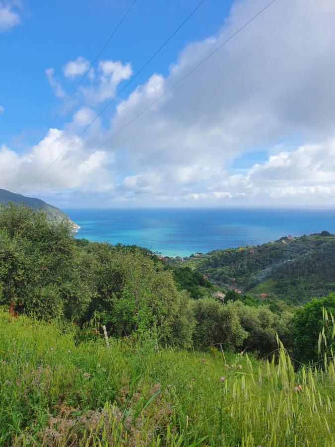 Cà Zelinda House Holiday Moneglia Dış mekan fotoğraf