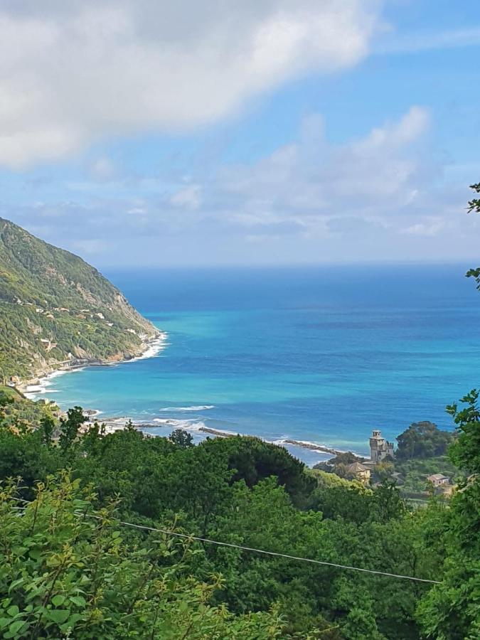 Cà Zelinda House Holiday Moneglia Dış mekan fotoğraf
